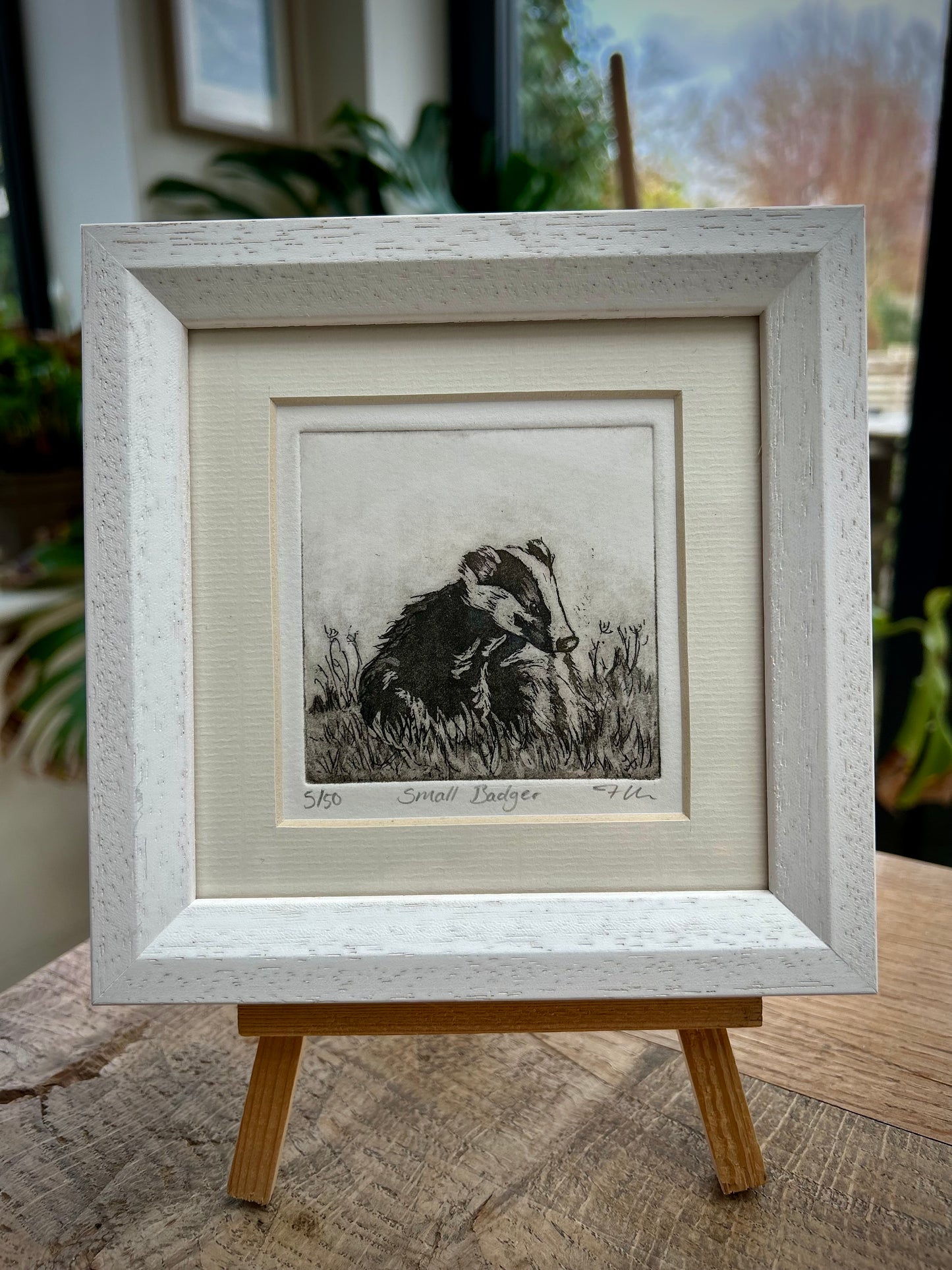 Small Badger - Etching