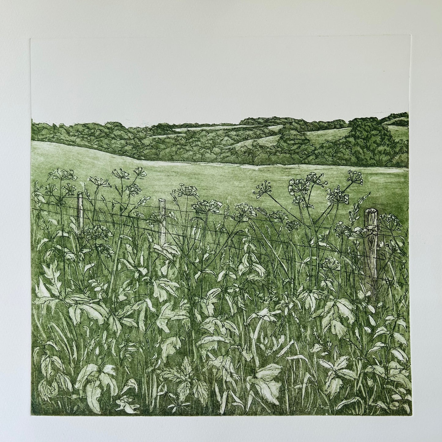 506/486 June - Etching
