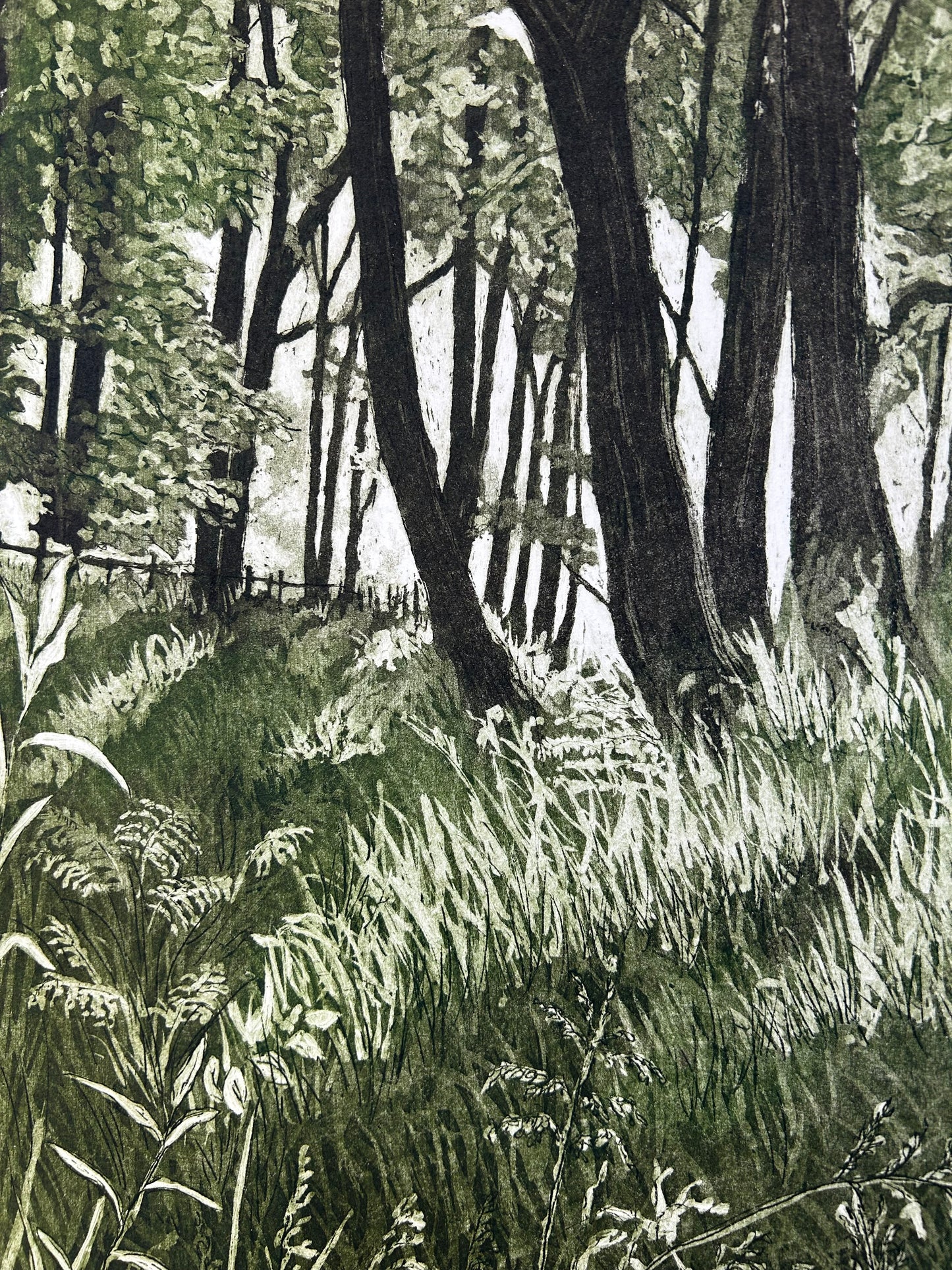 Woodlands (unframed)