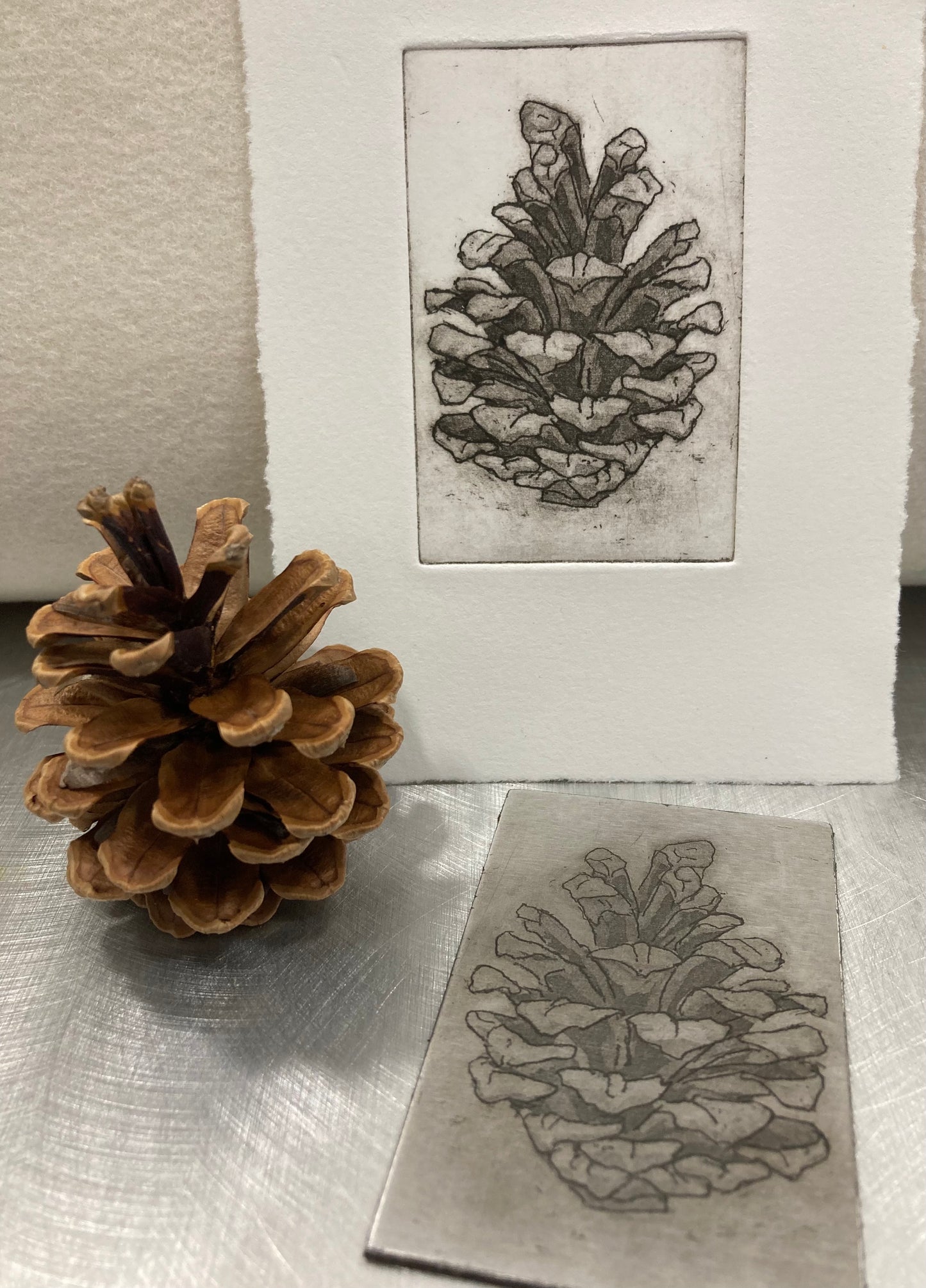 Pinecone Etched Enamelware Mug