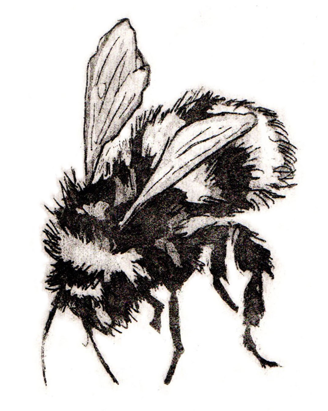 Bee Etched Enamelware Mug