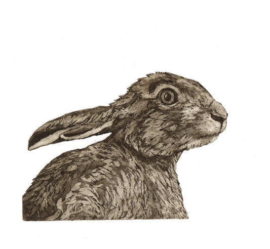 Hare Etching