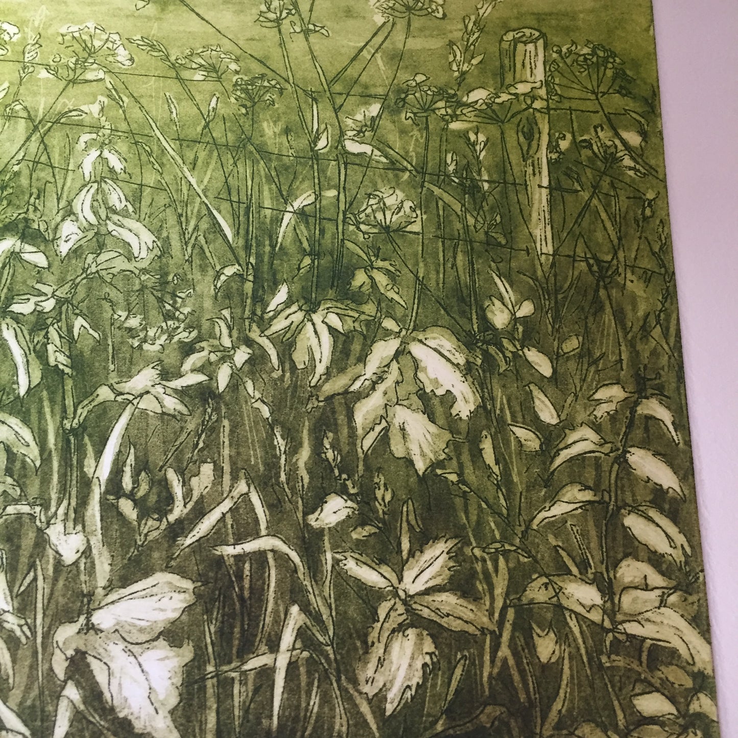 506/486 June - Etching
