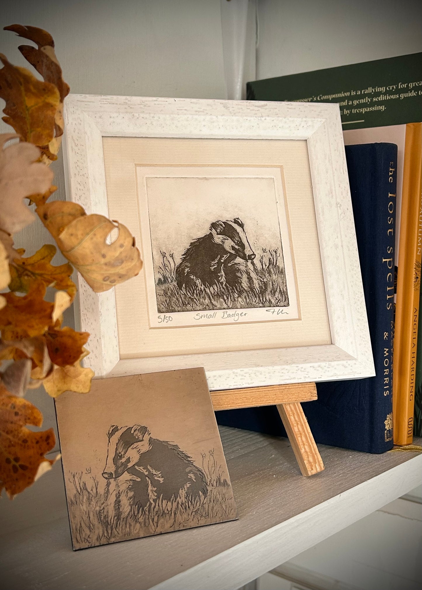 Small Badger - Etching