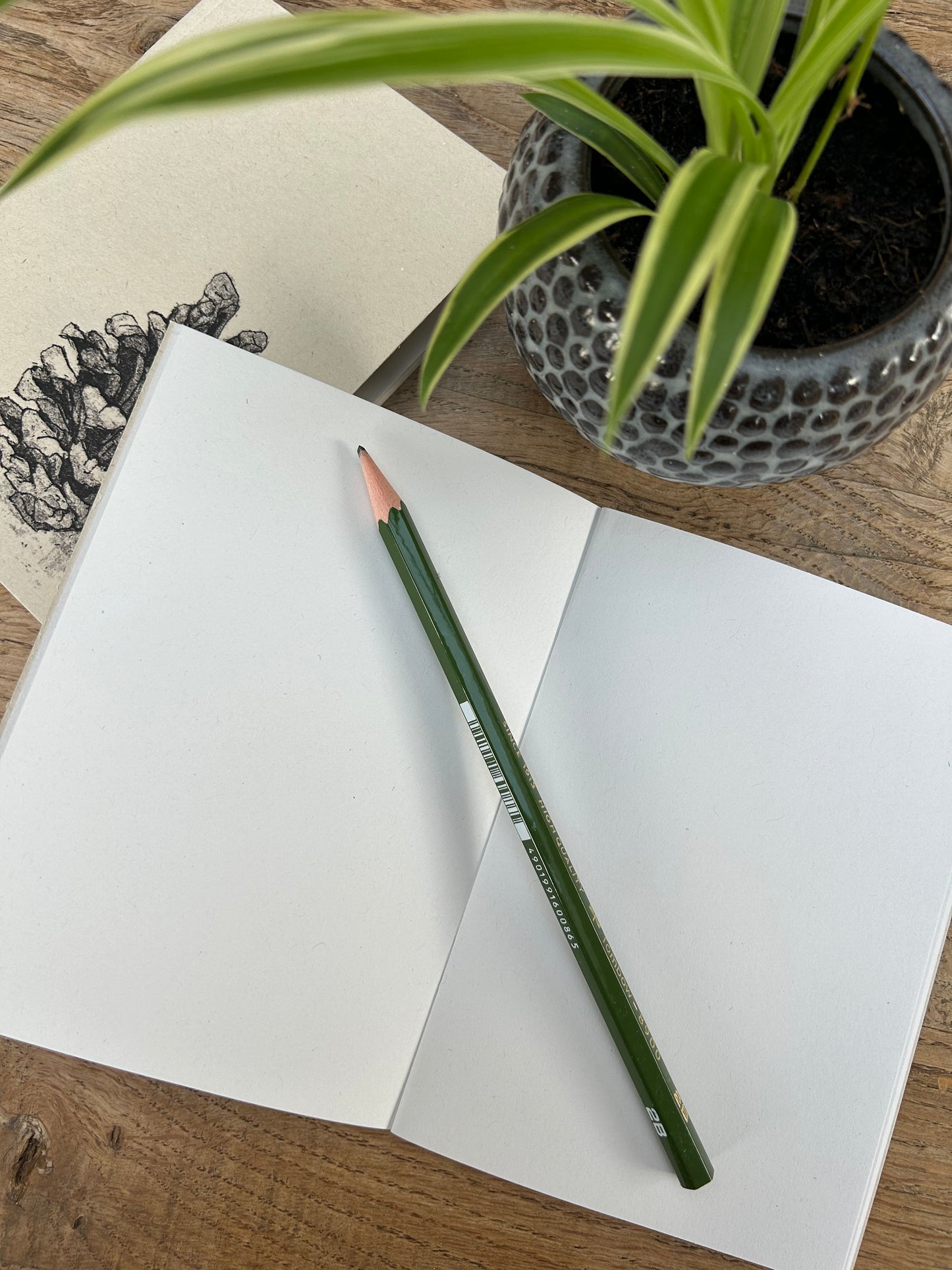 Sketchbook/notebook A6 Pinecone design