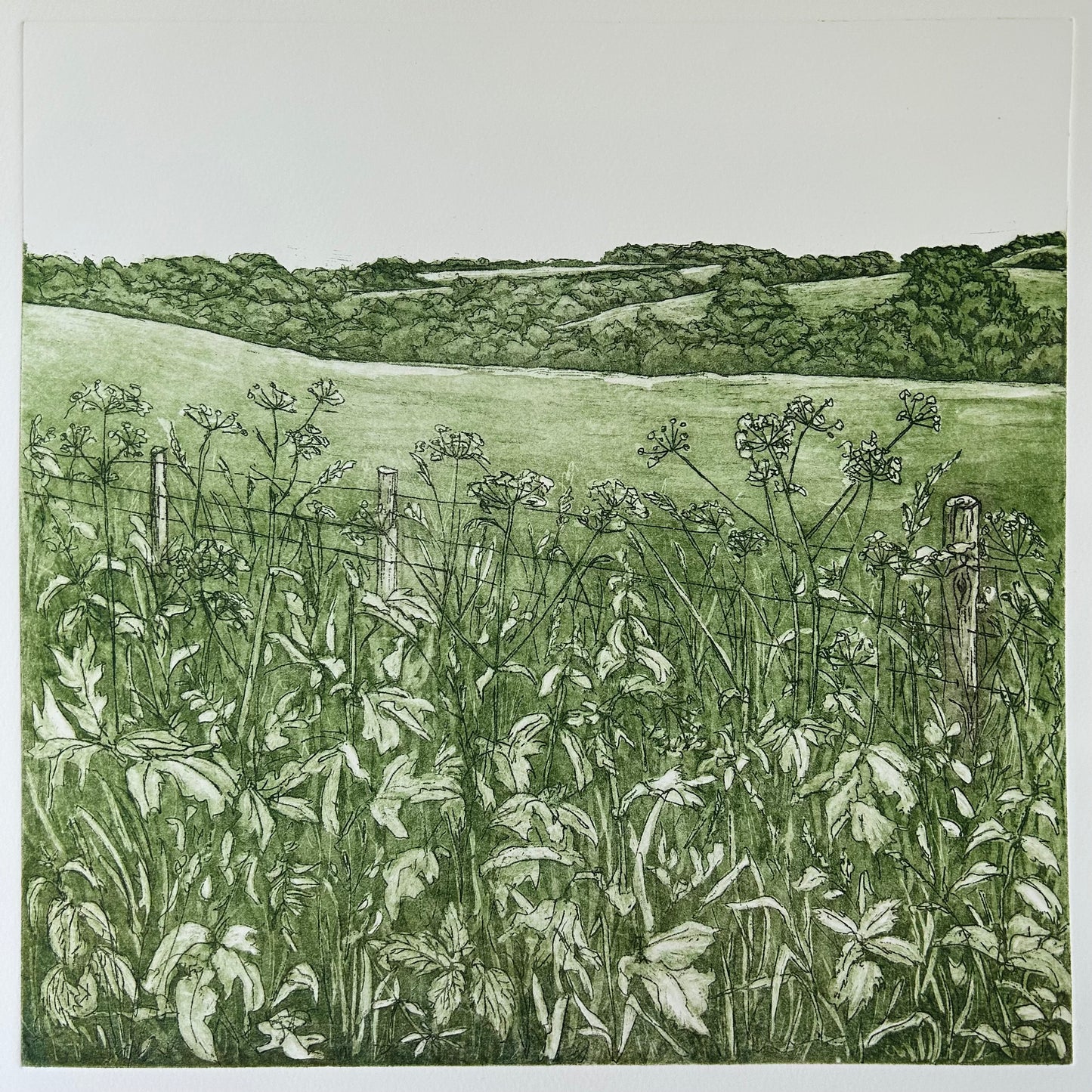 506/486 June - Etching