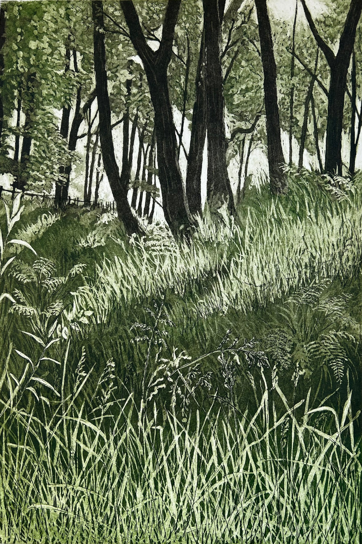 Woodlands (unframed)