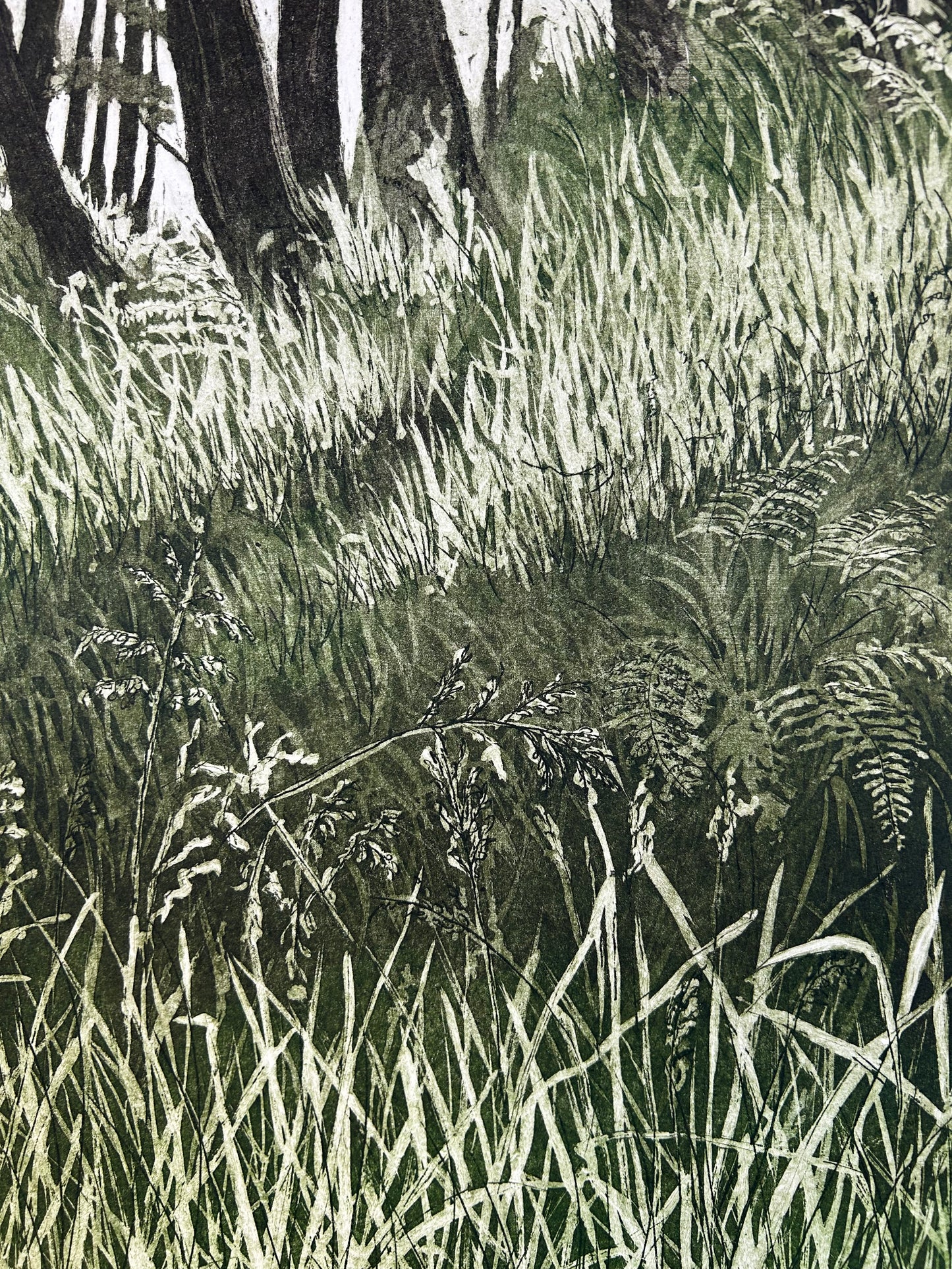 Woodlands (unframed)