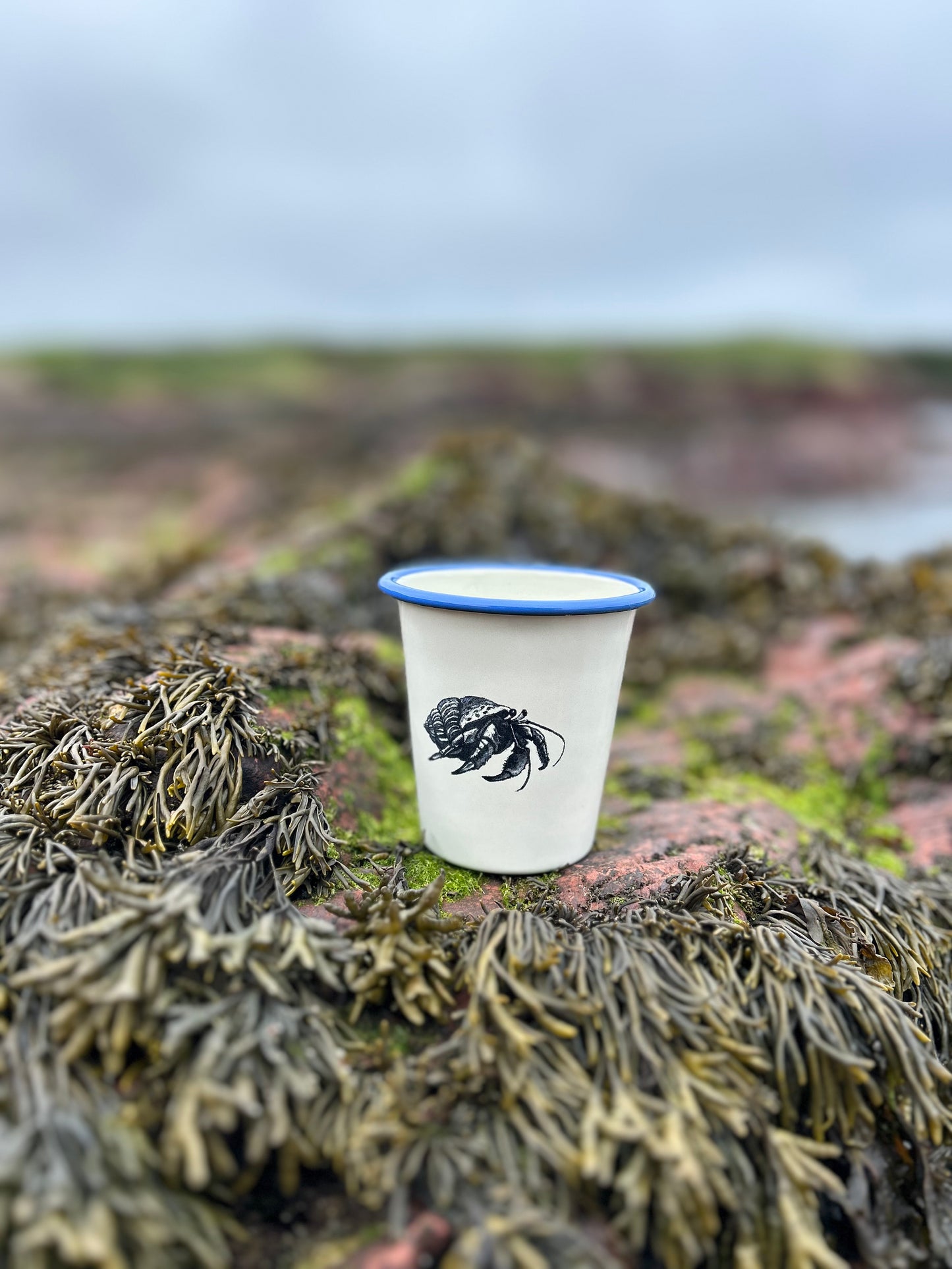 Hermit Crab Etched Enamelware Tumbler