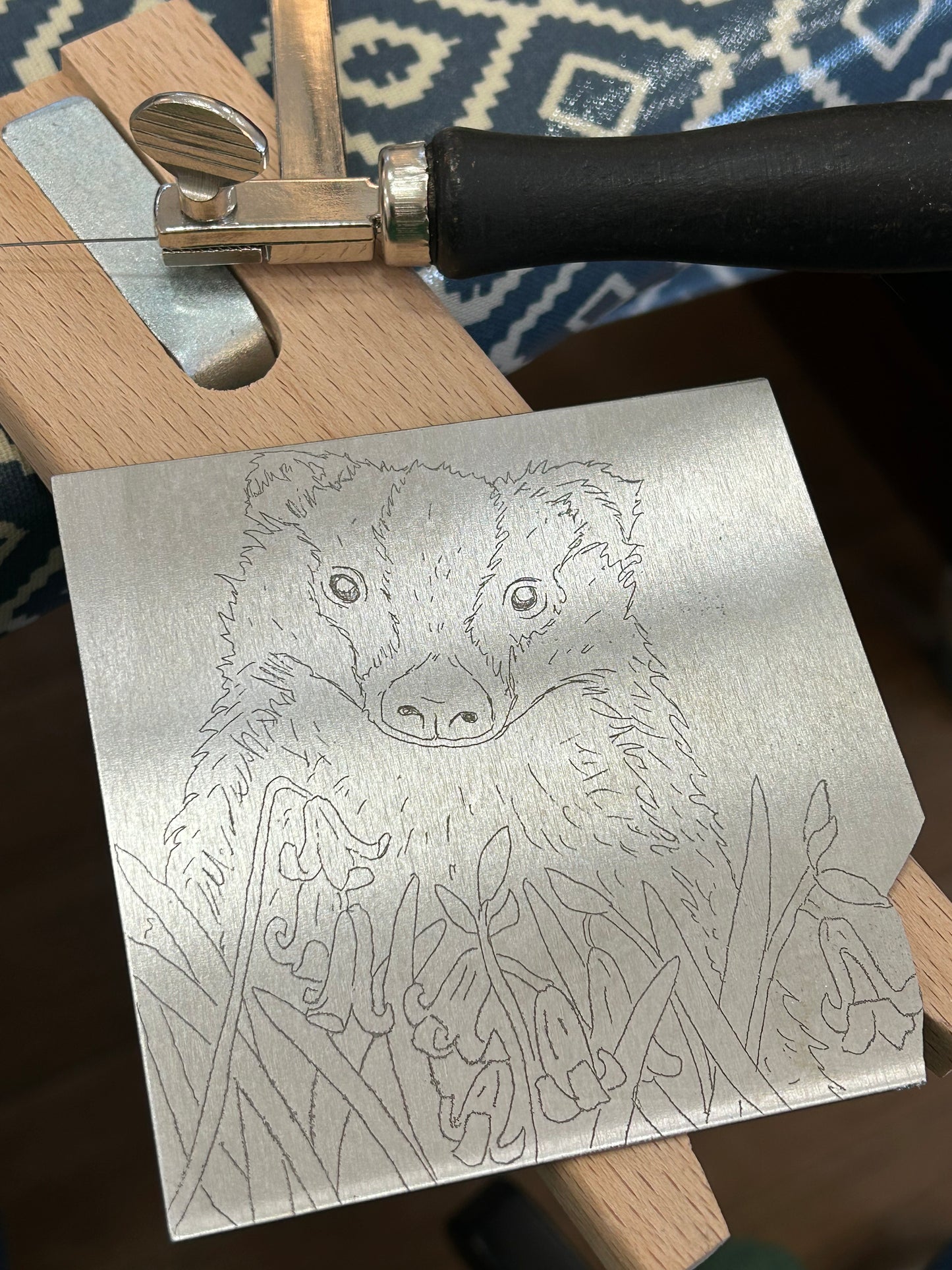 Badger in the Bluebells