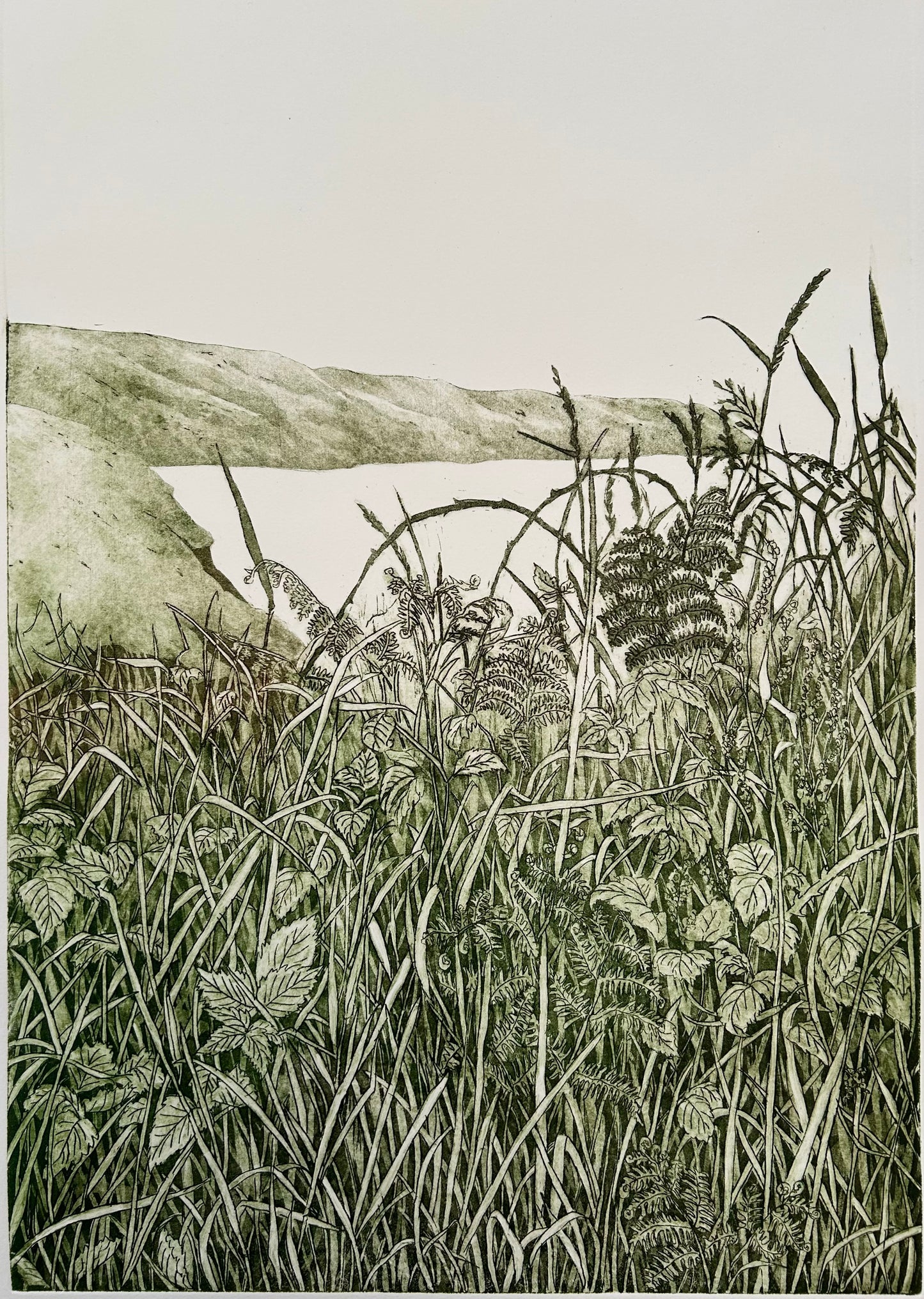 Coastal Path - Etching