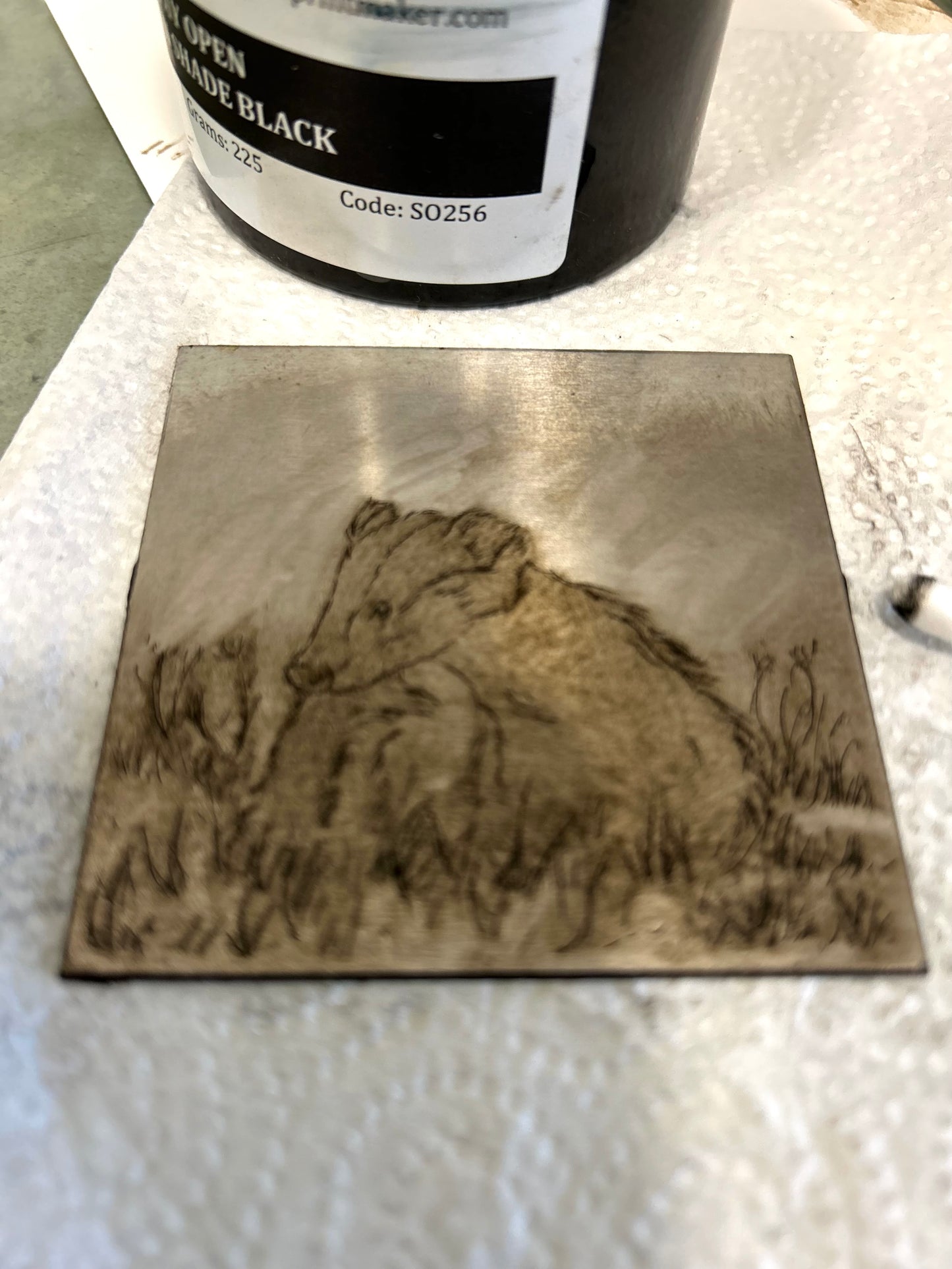 Small Badger - Etching