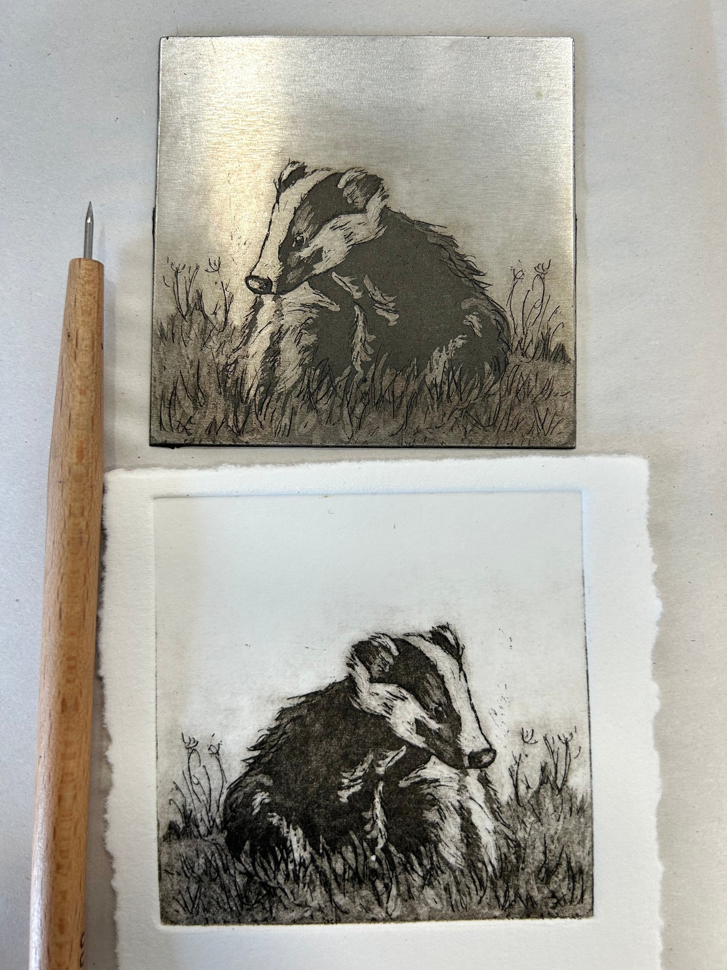 Small Badger - Etching
