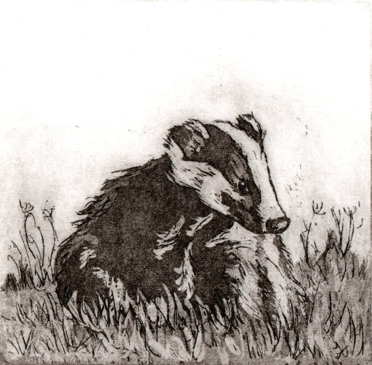 Small Badger - Etching