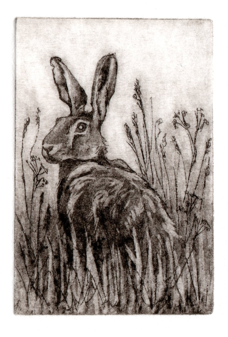 Hare Mini-print