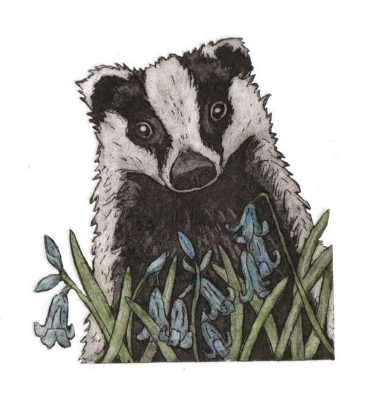 Badger in the Bluebells