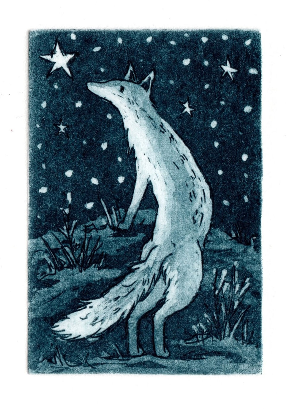 Midnight Fox Mini-print