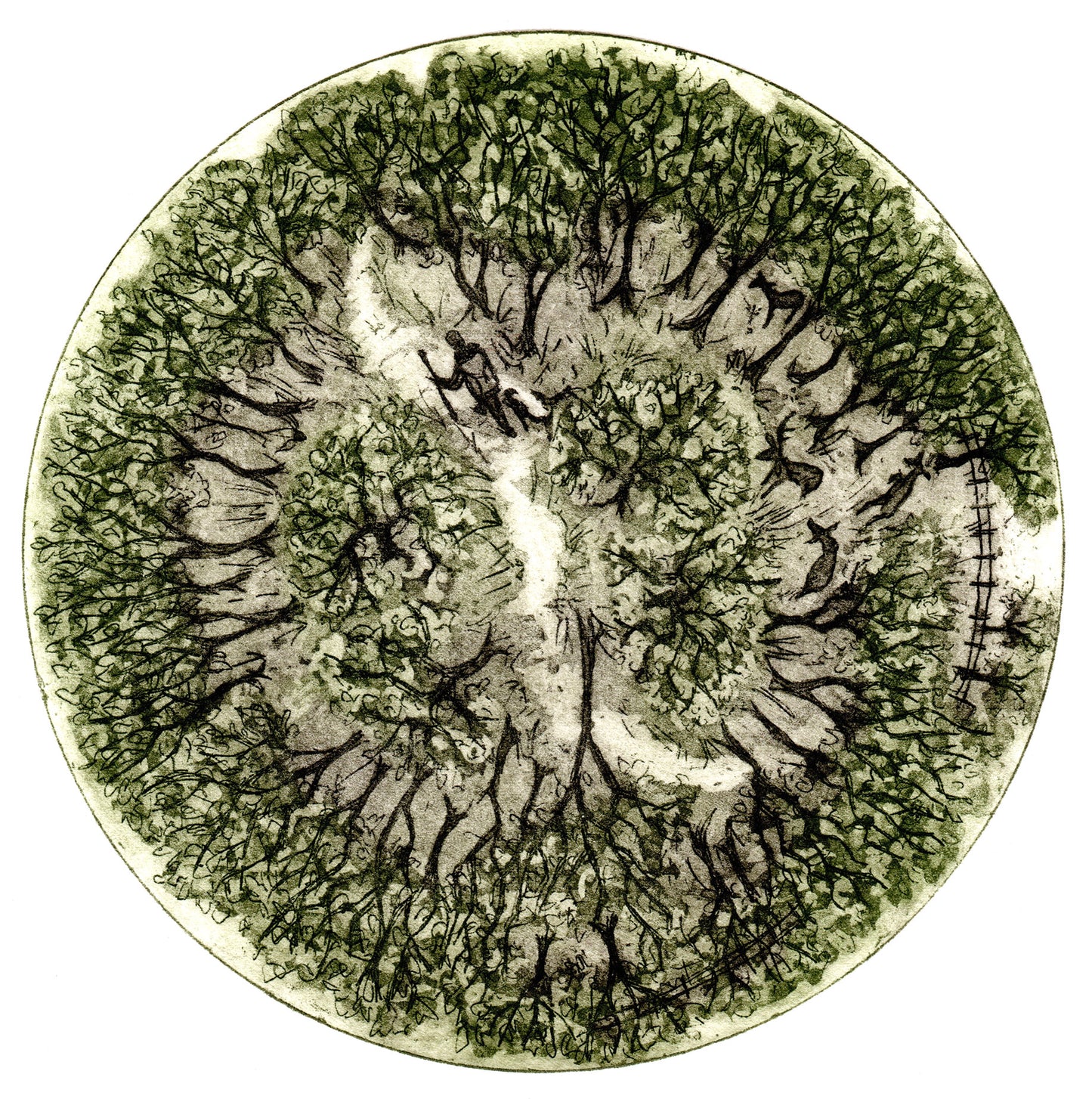 Journey Through the woods II, Etching