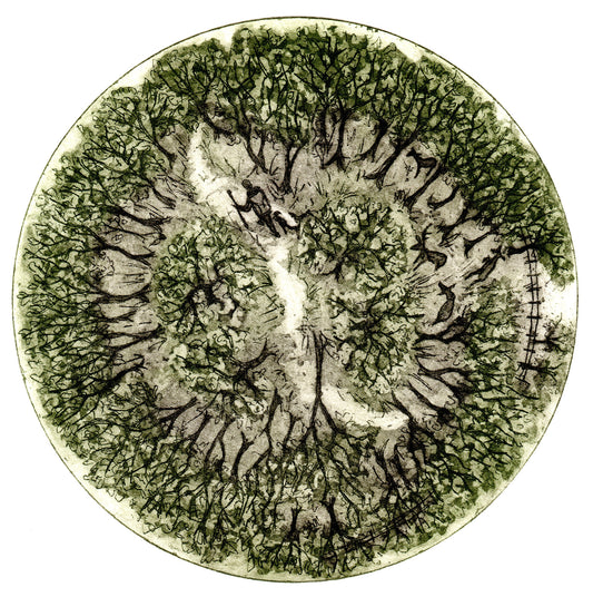 Journey Through the woods II, Etching